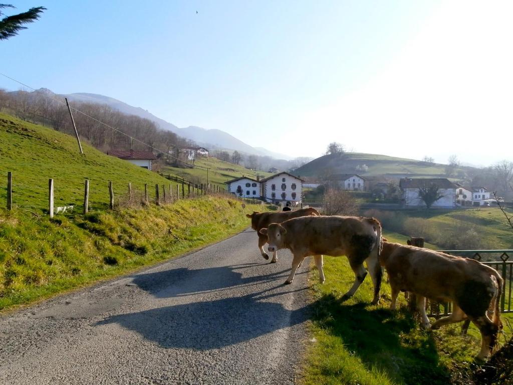 Casa Rural Zigako Etxezuria Dış mekan fotoğraf